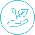 plant icon