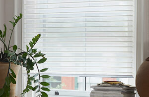 A potted plant with stringy leaves sits in front of a window with a Venetian Roller Shade made of Seaside in White